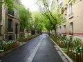 Rue pavillonnaire bordée d'arbres et de fleurs, la voirie est propre et accueillante.