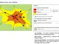 Schéma expliquant c'est quoi une aire urbaine : un pôle central (ville-centre, banlieue) et sa couronne périurbaine, reliés par des axes de communication et des mobilités pendulaires.