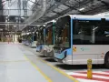 Une rangée de bus électriques RATP, prêts à circuler dans Paris et sa région.