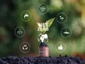 Une plante pousse sur une pile de pièces, symbolisant la croissance des villes à zéro émission nette. Icônes : éoliennes, recyclage, eau, CO2, solaire, voiture électrique, usine.