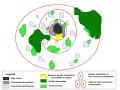 Schéma montrant une ville centre, des communes de banlieue et des communes périurbaines, avec des zones forestières et des espaces suburbains répartis en couronnes.