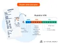 Explication du numéro VIN sur une carte grise. Comprendre la différence entre date de mise en circulation et date d'immatriculation.