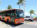 Un bus orange Karulis, ligne 503, circule sous les palmiers en Guadeloupe.