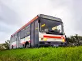 Un bus Renault R312 blanc et rouge, immatriculé FZ-609-NL, roule sur une colline herbeuse sous un ciel couvert.