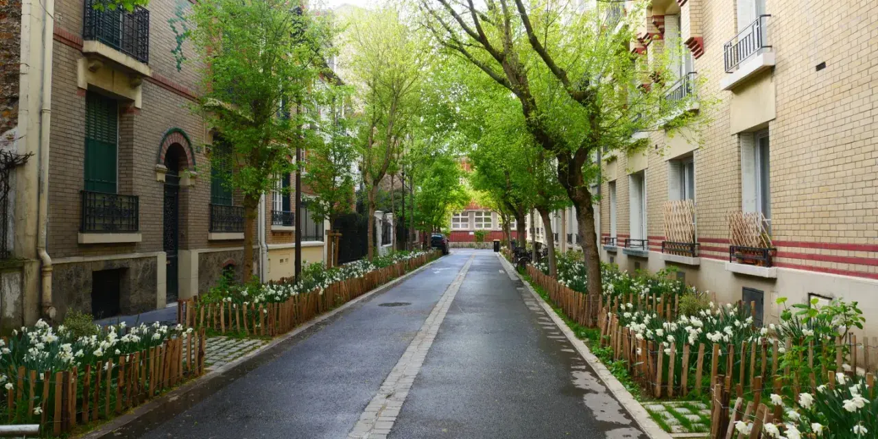 Rue pavillonnaire bordée d'arbres et de fleurs, la voirie est propre et accueillante.