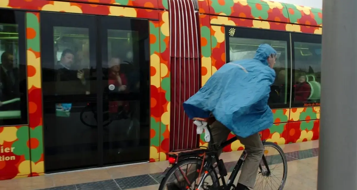 Cycliste sous la pluie, longeant un tramway décoré de fleurs colorées à Montpellier.