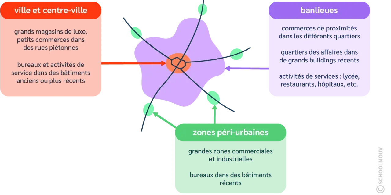 Schéma montrant la ville centre, les banlieues et les zones péri-urbaines, avec leurs caractéristiques distinctes.