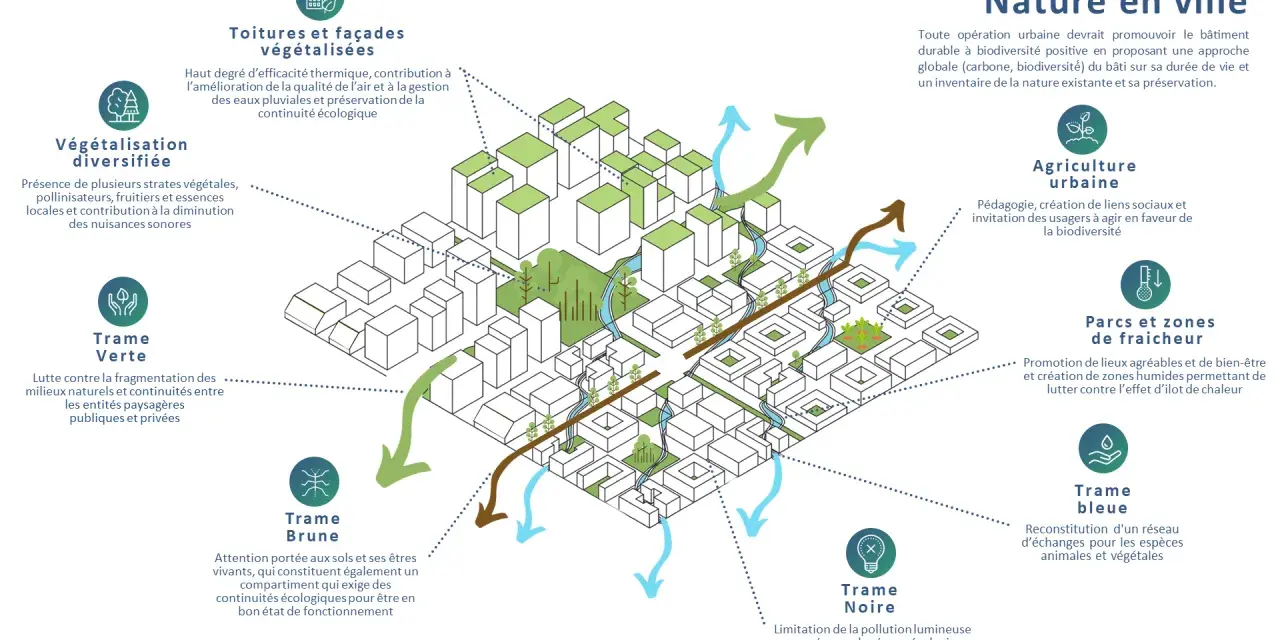 Illustration d'un **aménagement urbain** intégrant végétalisation, agriculture urbaine, trames verte, bleue, brune et noire pour une ville plus durable.