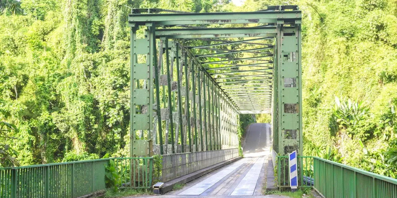 Pont métallique vert traversant une végétation luxuriante, un chemin pour le transport en commun en Martinique.