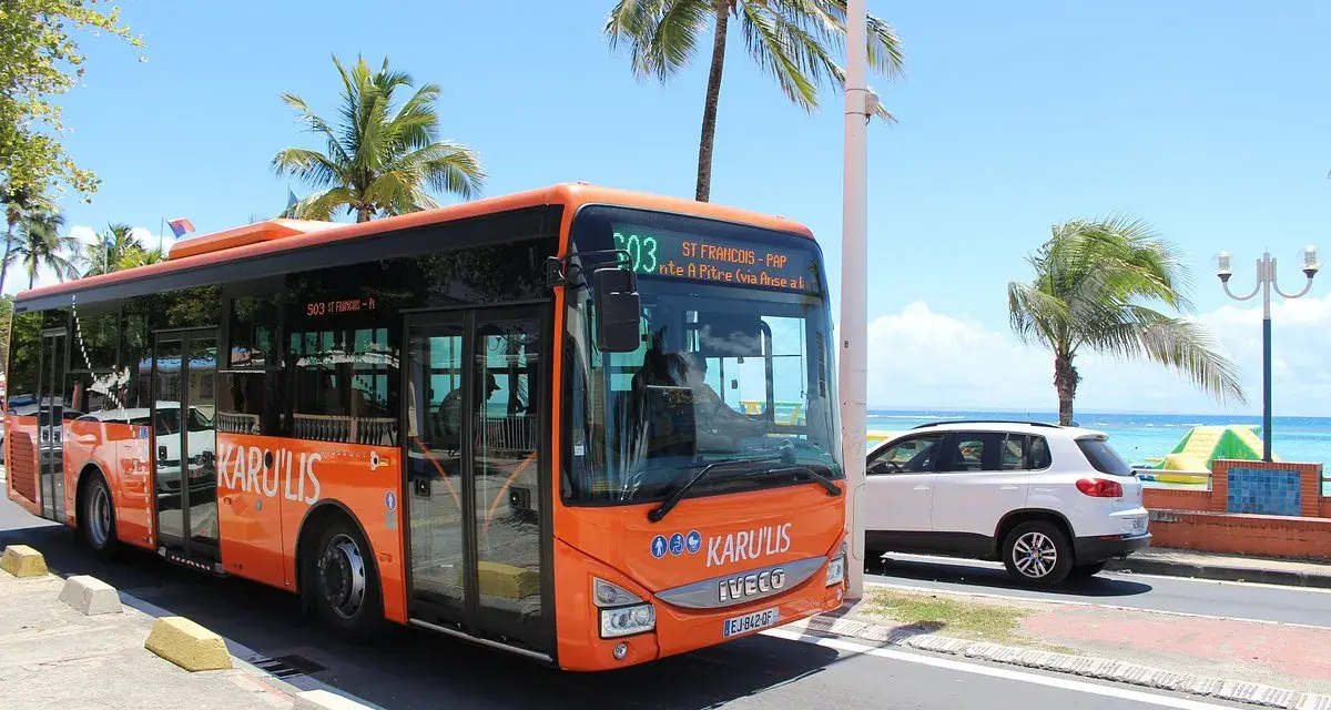 Un bus orange Karulis, ligne 503, circule sous les palmiers en Guadeloupe.