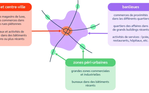 Schéma montrant la ville centre, les banlieues et les zones péri-urbaines, avec leurs caractéristiques distinctes.