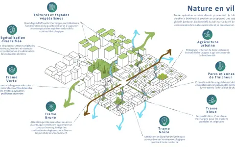 Illustration d'un **aménagement urbain** intégrant végétalisation, agriculture urbaine, trames verte, bleue, brune et noire pour une ville plus durable.