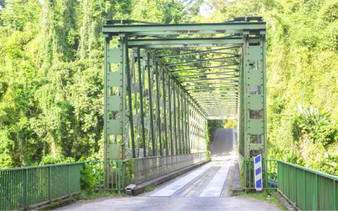Pont métallique vert traversant une végétation luxuriante, un chemin pour le transport en commun en Martinique.