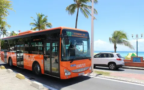 Un bus orange Karulis, ligne 503, circule sous les palmiers en Guadeloupe.