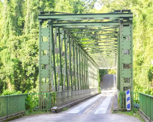 Pont métallique vert traversant une végétation luxuriante, un chemin pour le transport en commun en Martinique.