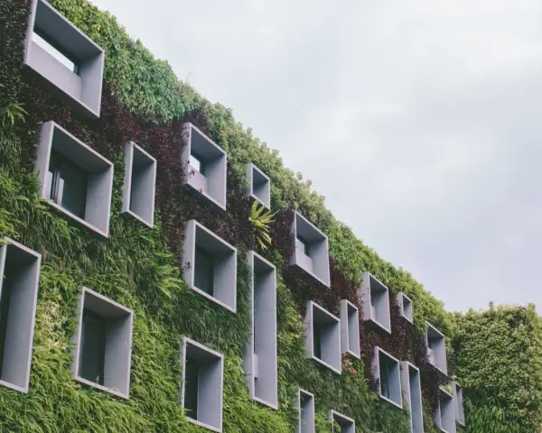 Un bâtiment végétalisé avec des fenêtres carrées, incarnant la définition d'une ville durable.