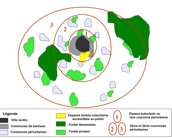 Schéma montrant une ville centre, des communes de banlieue et des communes périurbaines, avec des zones forestières et des espaces suburbains répartis en couronnes.