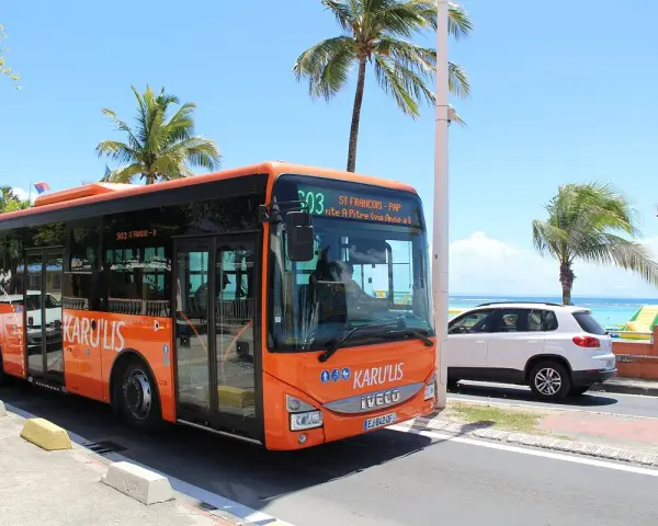 Un bus orange Karulis, ligne 503, circule sous les palmiers en Guadeloupe.
