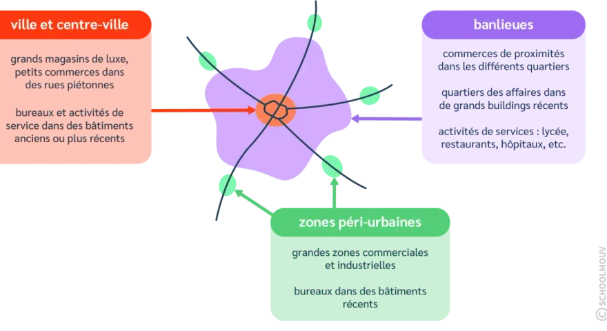 Schéma montrant la ville centre, les banlieues et les zones péri-urbaines, avec leurs caractéristiques distinctes.