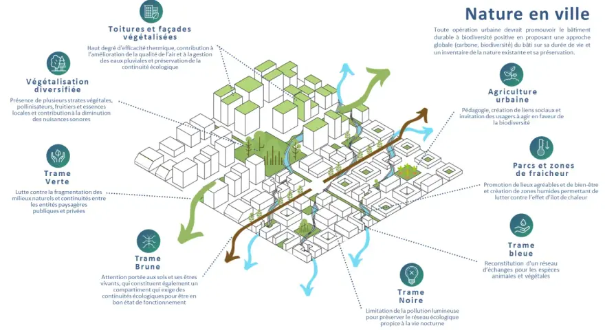 Illustration d'un **aménagement urbain** intégrant végétalisation, agriculture urbaine, trames verte, bleue, brune et noire pour une ville plus durable.