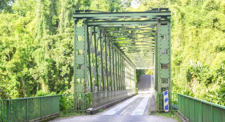 Pont métallique vert traversant une végétation luxuriante, un chemin pour le transport en commun en Martinique.