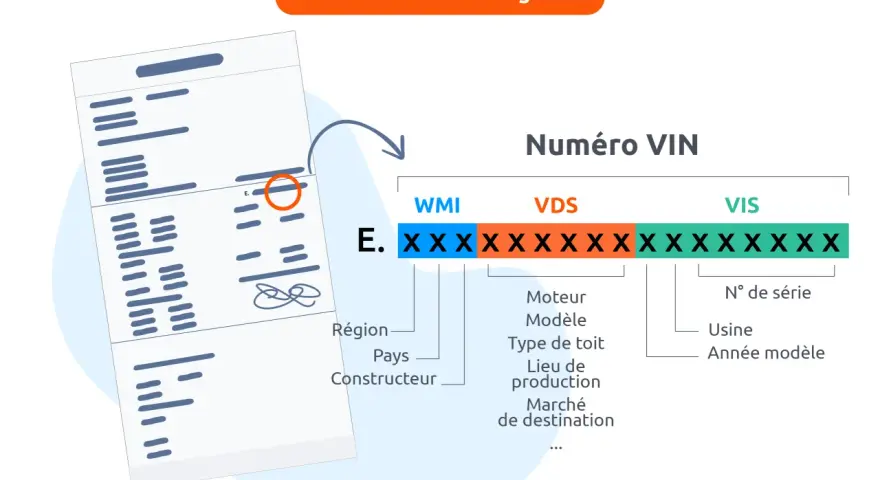 Explication du numéro VIN sur une carte grise. Comprendre la différence entre date de mise en circulation et date d'immatriculation.