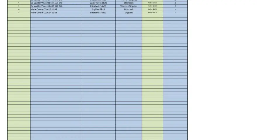 Tableau d'organisation covoiturage pour la grève SNCB, avec conducteurs, destinations et places disponibles.