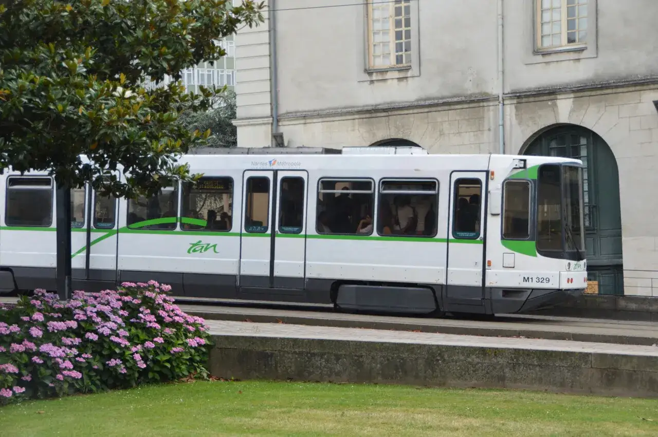 Un tramway blanc et vert de la compagnie Naolib Nantes circule près d'un parterre de fleurs roses.