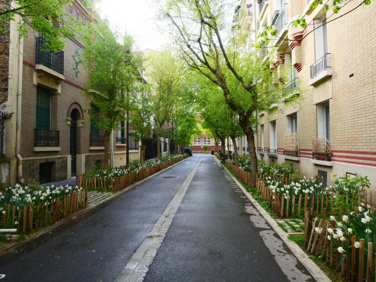 Rue pavillonnaire bord&eacute;e d'arbres et de fleurs, la voirie est propre et accueillante.