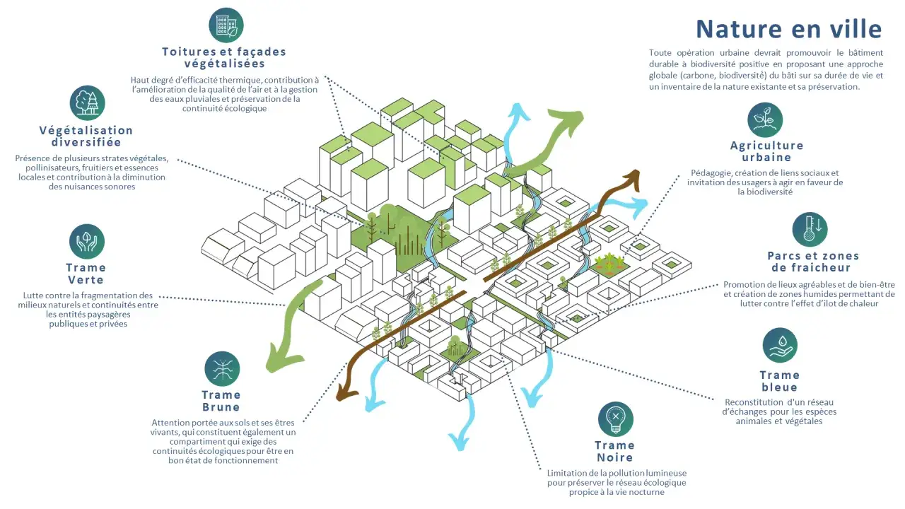 Illustration d'une voie urbaine intégrant végétalisation, toitures vertes, agriculture urbaine, parcs, et trames verte, bleue, brune et noire pour la biodiversité.