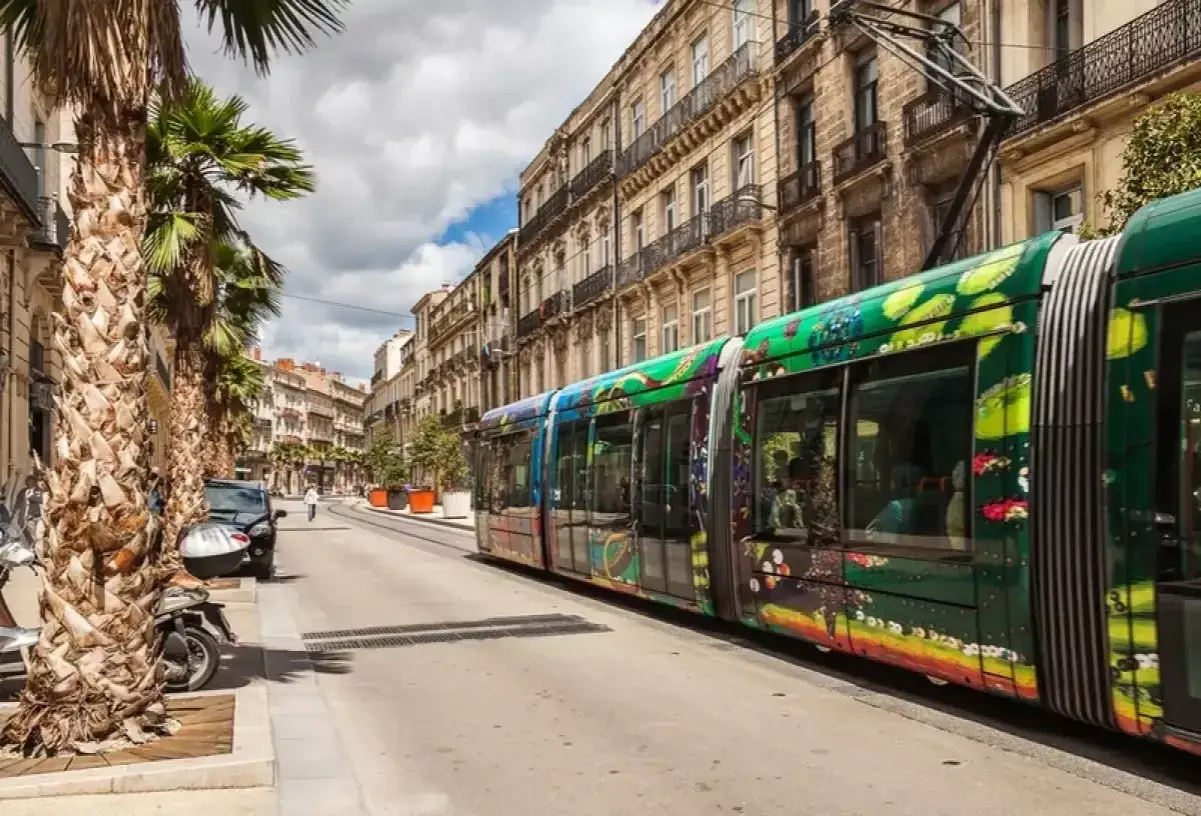 Un tramway coloré traverse une rue bordée de palmiers et de bâtiments anciens. Exemples d'infrastructures urbaines modernes et artistiques.