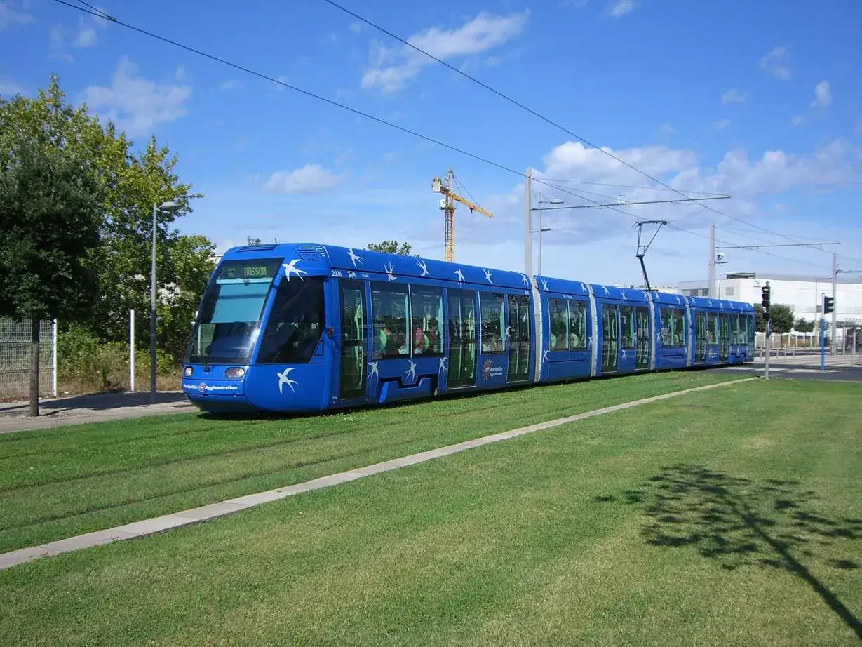 Un tramway bleu vif circule sur des rails bord&eacute;s d'herbe verte, un exemple d'aire urbaine moderne.