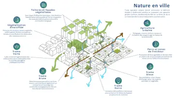 Illustration d'un **aménagement urbain** intégrant végétalisation, agriculture urbaine, trames verte, bleue, brune et noire pour une ville plus durable.