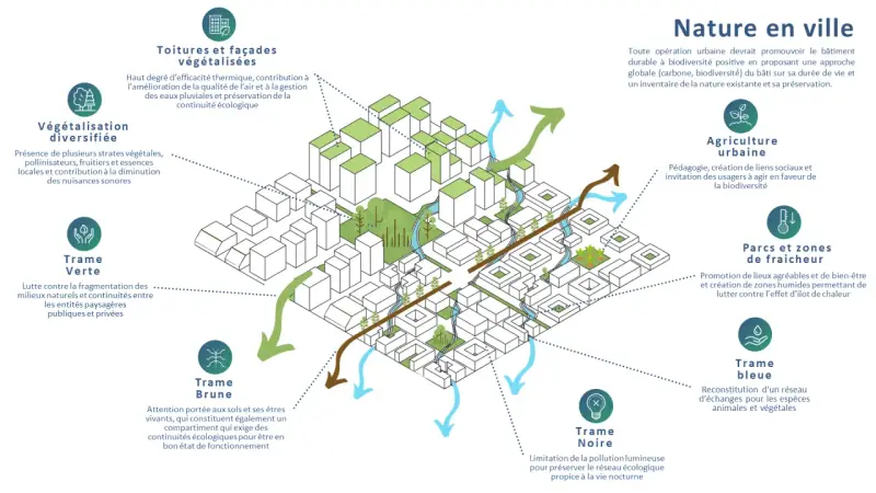 Illustration d'un **aménagement urbain** intégrant végétalisation, agriculture urbaine, trames verte, bleue, brune et noire pour une ville plus durable.